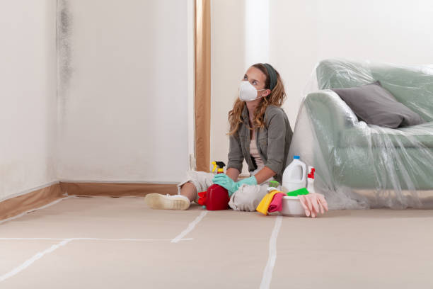 Reliable Mold Remediation contractor in Suitland, MD by WQB Mold Removal